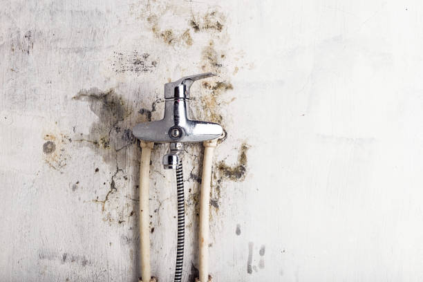 Best Home Mold Removal  in Oakfield, WI