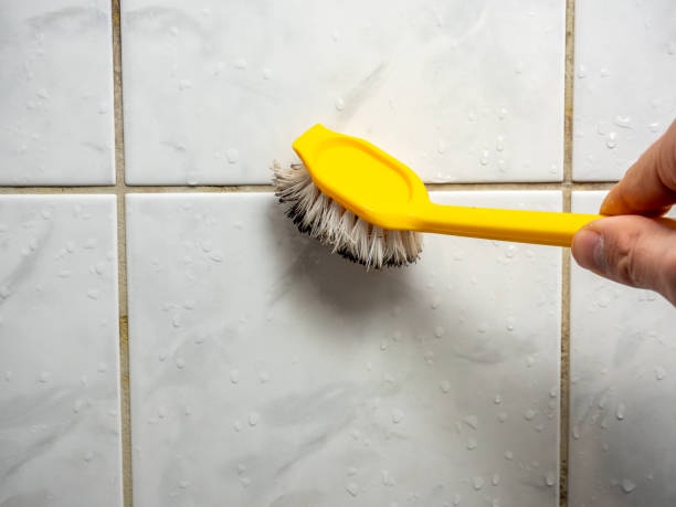 Best Best Mold Removal Companies  in Oakfield, WI