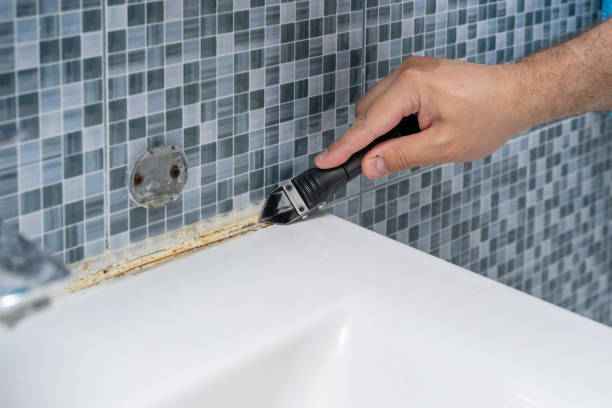 Best Mold Testing  in Oakfield, WI