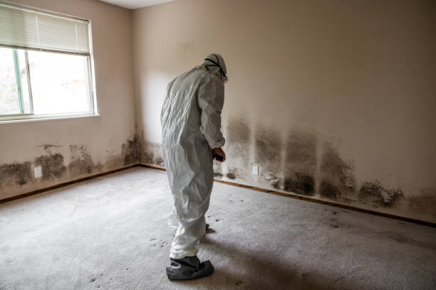 Best Mold Removal Specialists  in Oakfield, WI
